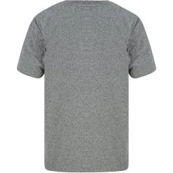 Tokyo Laundry Search Herren T-Shirt 1C18220 Light Grey Grindle -JELEX Geschäft 1C18220 Light Grey Grindle 2 1280x1280