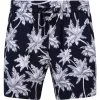 NINES Collection Heron Herren Shorts 1G14853 1 NINES Collection Heron Herren Shorts 1G14853 -JELEX Geschäft 1G14853 1 1280x1280