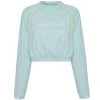 Adidas Originals Damen Cropped Sweatshirt FM2466 -JELEX Geschäft FM2466 1 1280x1280