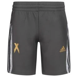 Adidas B.A.R. X Aeroready Jungen Trainings Shorts GD4759