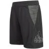 Adidas Aeroready Heather Jungen Shorts GM8469 -JELEX Geschäft GM8469 1 1280x1280